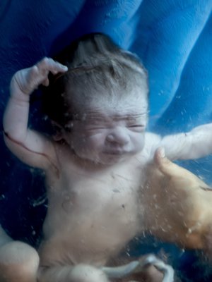 Veteen syntyvä vauva ei vedä vettä henkeensä, koska hengittää keuhkoillaan ensimmäisen kerran vasta pinnalla. Kuva: <span class="photographer">Helena Vartiainen</span>