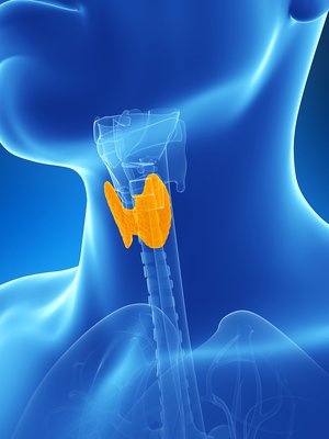 kilpirauhanen, vajaatoiminta, liikatoiminta, tyroksiini