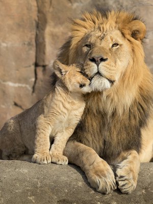 Myönteisillä kasvatuskeinoilla saa parempia tuloksia kuin rangaistuksilla. Kuva: <span class="photographer">iStockphoto</span>