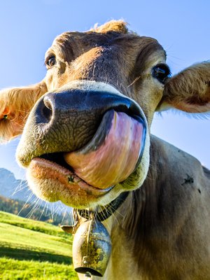 Kuva: <span class="photographer">Shutterstock</span>