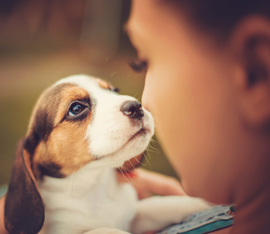 Kuva iStockphoto