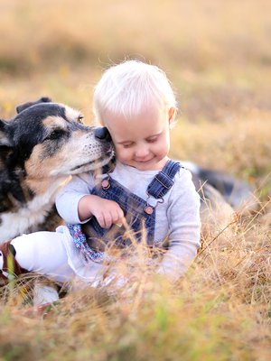 Kun lapsi kasvaa, hänelle kannattaa sanoittaa koiran elekieltä ja opettaa, miten lemmikkiä lähestytään. Kuva: <span class="photographer">iStock</span>