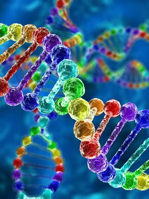 perinnöllisyys, geenit, DNA