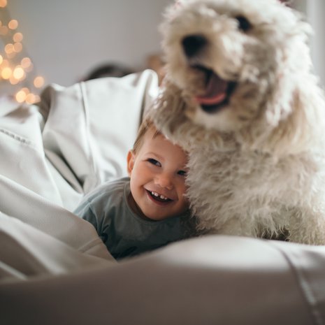 Toiset lapset reagoivat toisia herkemmin esimerkiksi eläinten äkkinäisiin liikkeisiin.