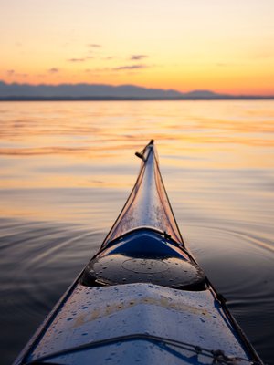 Kuva: <span class="photographer">Shutterstock</span>