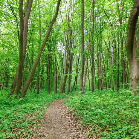 Pysähdy tähän hetkeen. Katso ympärillesi, huomaa missä olet. Mitä tunnet?