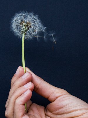 Keltarauhashormonia sisältävät ehkäisymenetelmät ovat varmimpia. Joskus raskaus kuitenkin pääsee alkamaan, ja silloin on ison päätöksen aika. Kuva: <span class="photographer">iStockphoto</span>