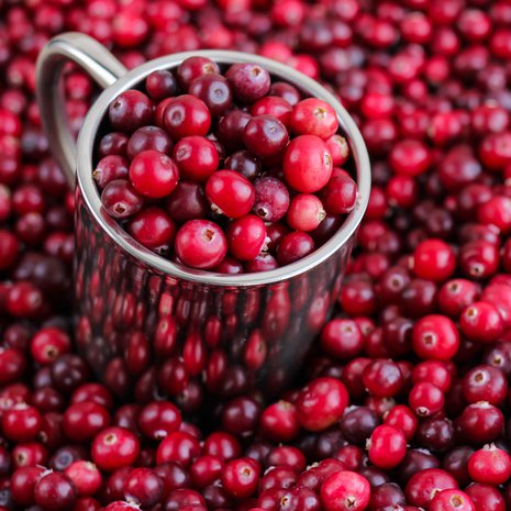 Puolukassa ja karpalossa on polyfenoleja, jotka voivat ehkäistä virtsatieinfektioita.