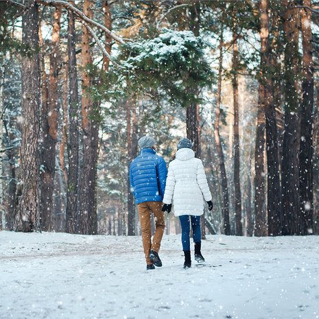 talviulkoilu, lumikenkäily, hiihto, luistelu