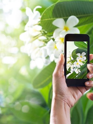 Kuva: <span class="photographer">Shutterstock</span>