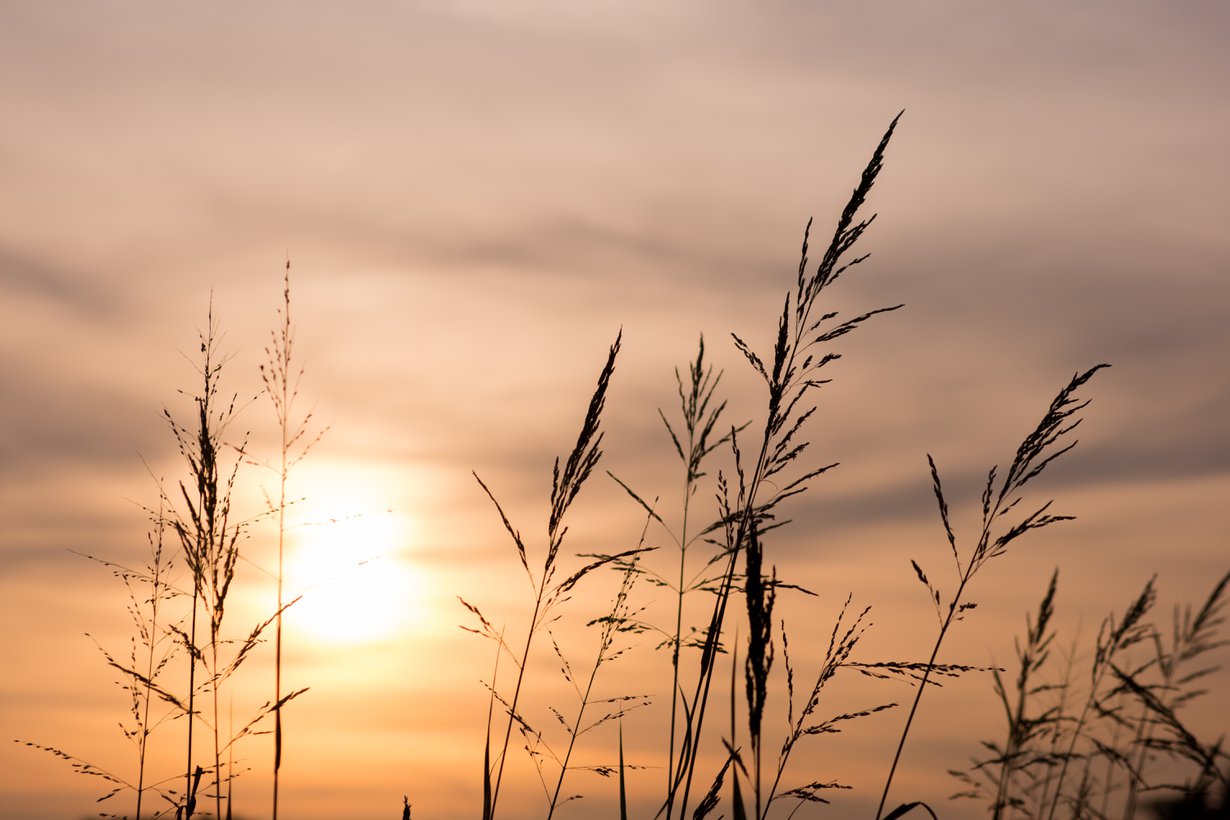 Raskauden keskeytysten määrä on vähentynyt Suomessa viime vuosina. Kuva: Shutterstock