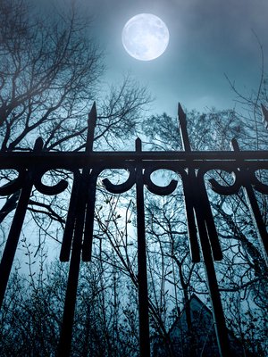 Kuva: <span class="photographer">Shutterstock</span>