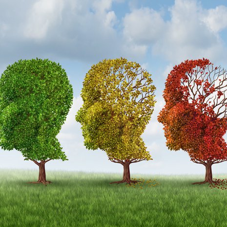 muisti, muistihäiriöt, Alzheimerin tauri, dementia