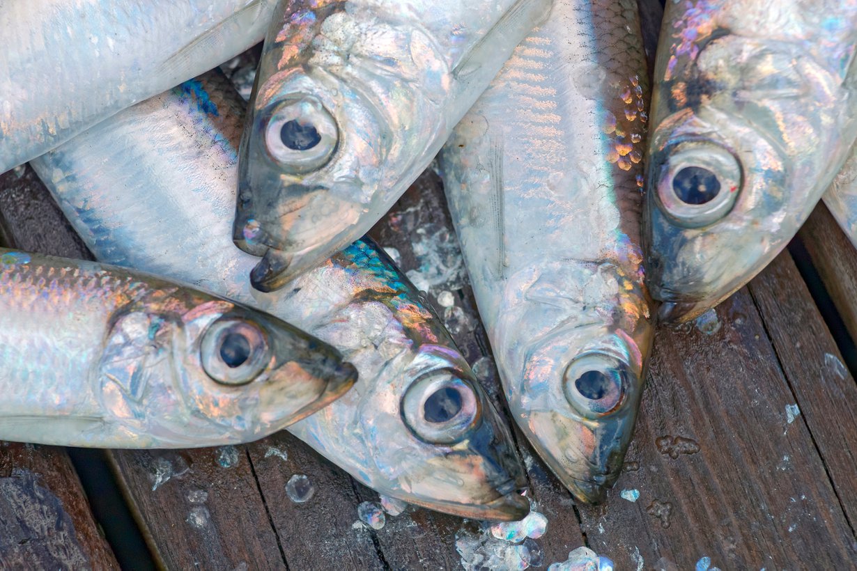 Kuva Shutterstock
