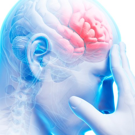 Kuva Shutterstock