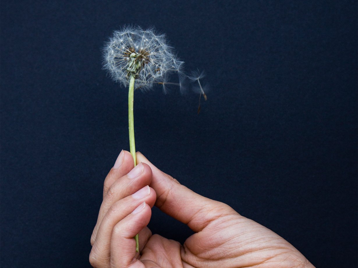 Keltarauhashormonia sisältävät ehkäisymenetelmät ovat varmimpia. Joskus raskaus kuitenkin pääsee alkamaan, ja silloin on ison päätöksen aika. Kuva: iStockphoto