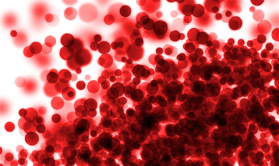 Kuva Shutterstock