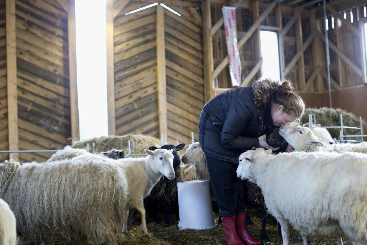 Oma maatila on Maijan toteutunut unelma. Kuvat: Kristiina Kontoniemi.