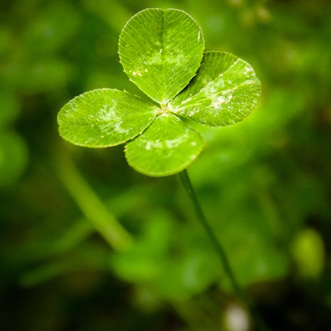 Kuva iStockphoto