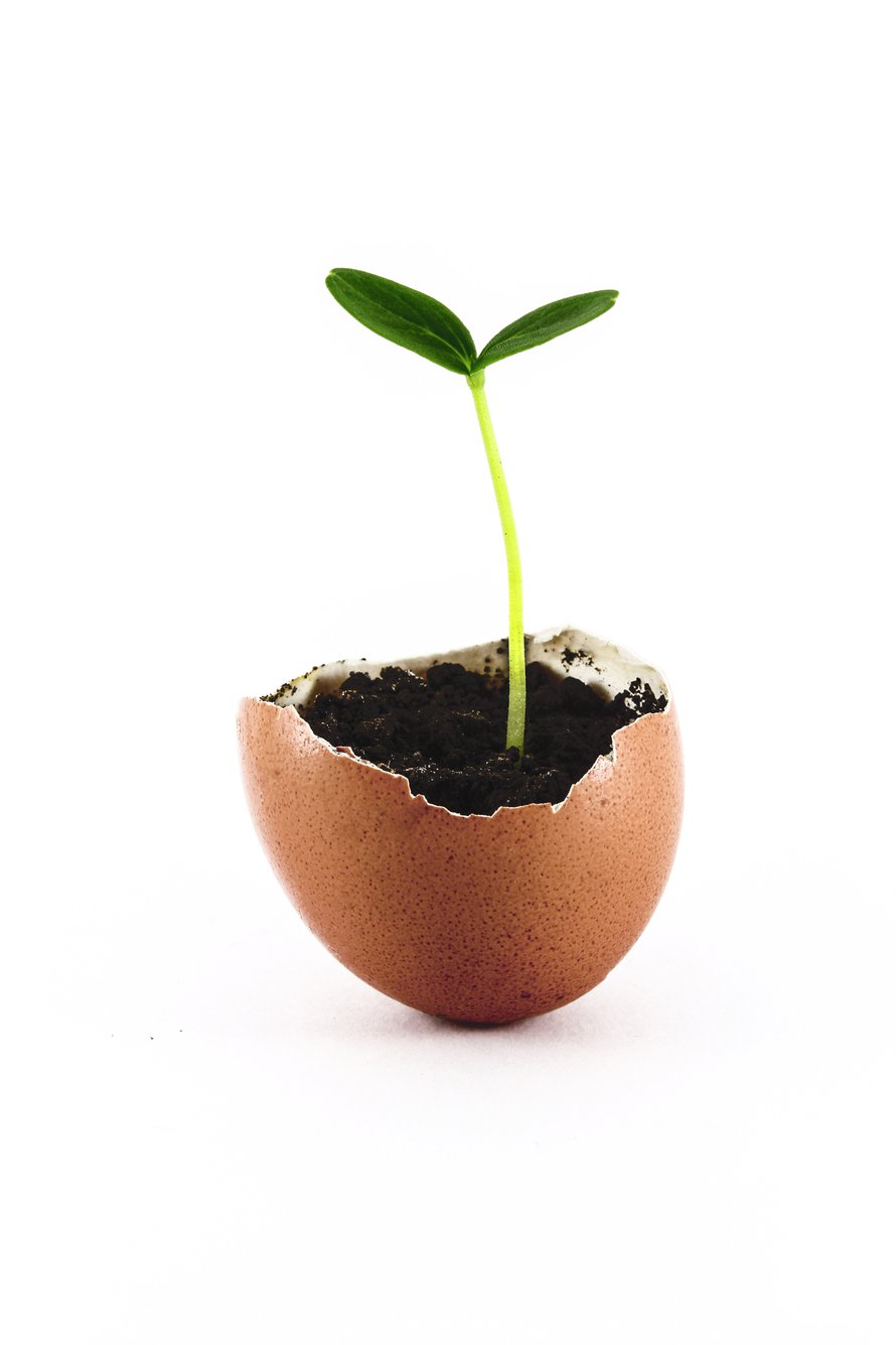 Kuva: <span class="photographer">iStockphoto</span>