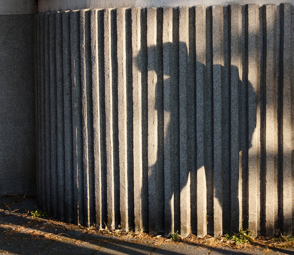 Kuva: iStockphoto