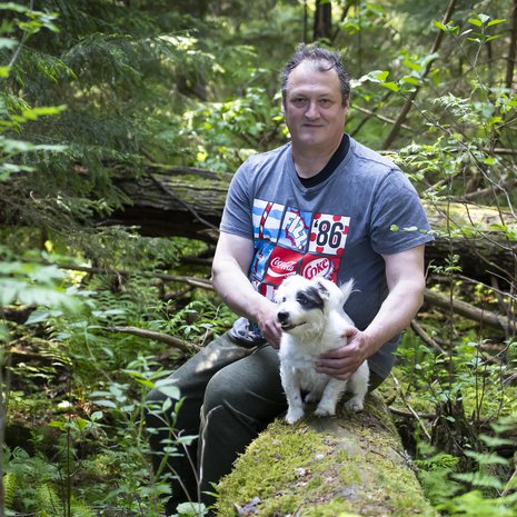 Kun Kimmo Kinnunen tekee metsätöitä, jackrussel Patu, 11, istuu kiven tai kannon päällä ja katselee.