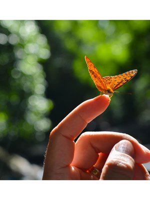 Kuva: <span class="photographer">Shutterstock</span>