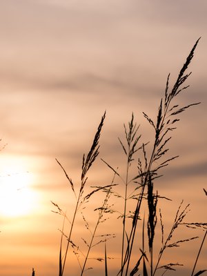 Raskauden keskeytysten määrä on vähentynyt Suomessa viime vuosina. Kuva: <span class="photographer">Shutterstock</span>