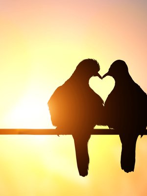 Kuva: <span class="photographer">Shutterstock</span>