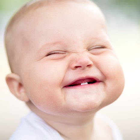 Kuva Shutterstock