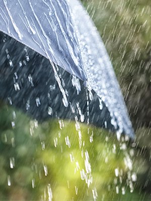 Tinnitusta helpottaa luonnon äänien kuuntelu