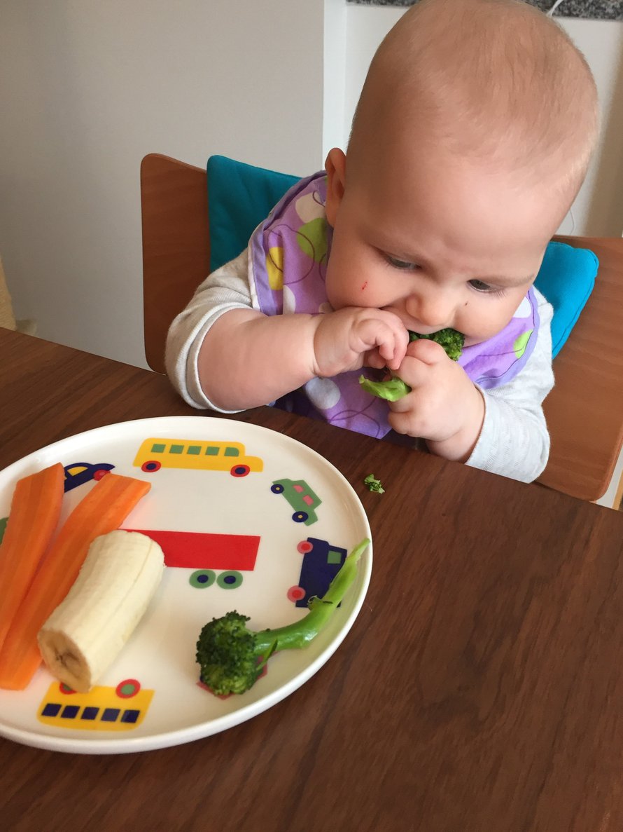 Puolivuotias Joel ja ihan ensimmäinen sormiruoka-ateria. Kuva: <span class="photographer">Sormet suuhun -blogi</span>