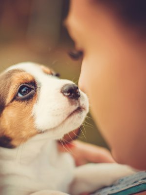 Kuva: <span class="photographer">Shutterstock</span>