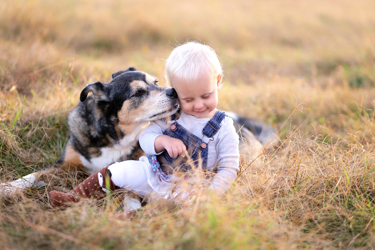 Kun lapsi kasvaa, hänelle kannattaa sanoittaa koiran elekieltä ja opettaa, miten lemmikkiä lähestytään. Kuva: iStock