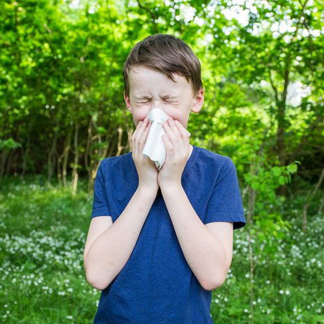 allergia, yliherkkyys, heinänuha