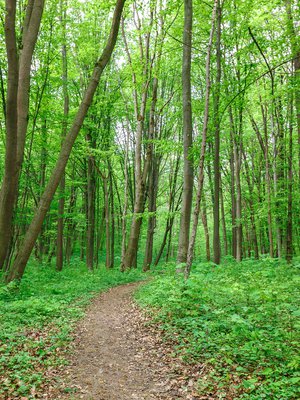 Pysähdy tähän hetkeen. Katso ympärillesi, huomaa missä olet. Mitä tunnet?