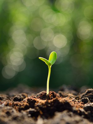 Siittiöiden osuus siemennesteestä on vain noin yksi prosentti. Kuva: <span class="photographer">iStockphoto</span>