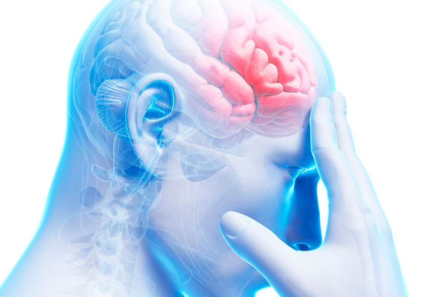 Kuva Shutterstock