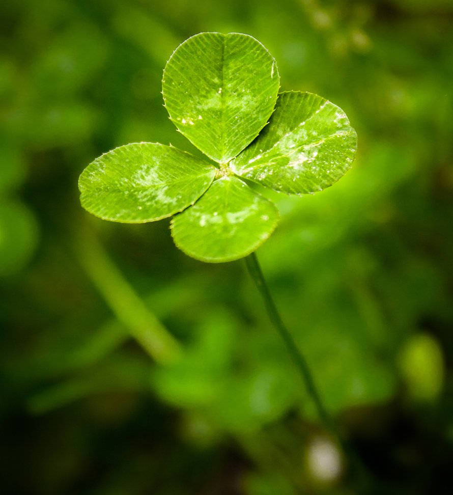 Kuva iStockphoto