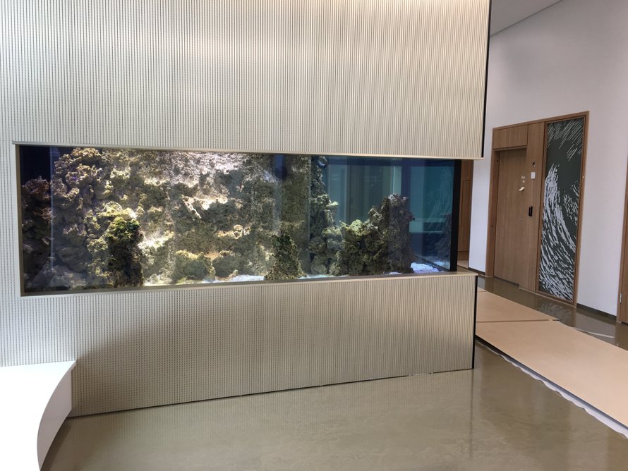 Laboratorion odotustiloissa on meriakvaario, jonka toisella puolella on sisarushuone testeihin tulevan lapsen perheenjäsenille.