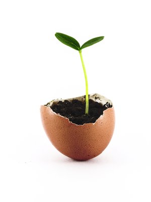 Kuva: <span class="photographer">iStockphoto</span>