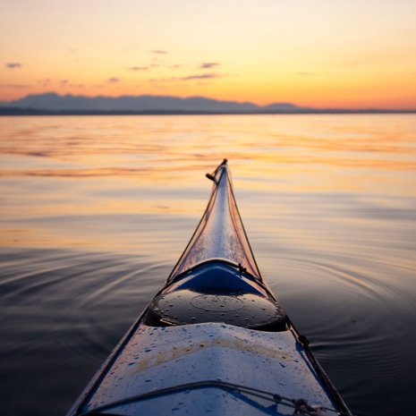 Kuva: <span class="photographer">Shutterstock</span>
